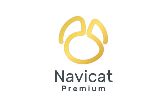 Navicat Premium 17.3.7 x64 [2025, RUS + ENG]